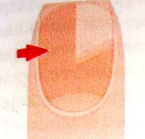 Примерное представление ногтевой пластины.