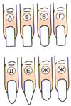 Виды форм ногтей